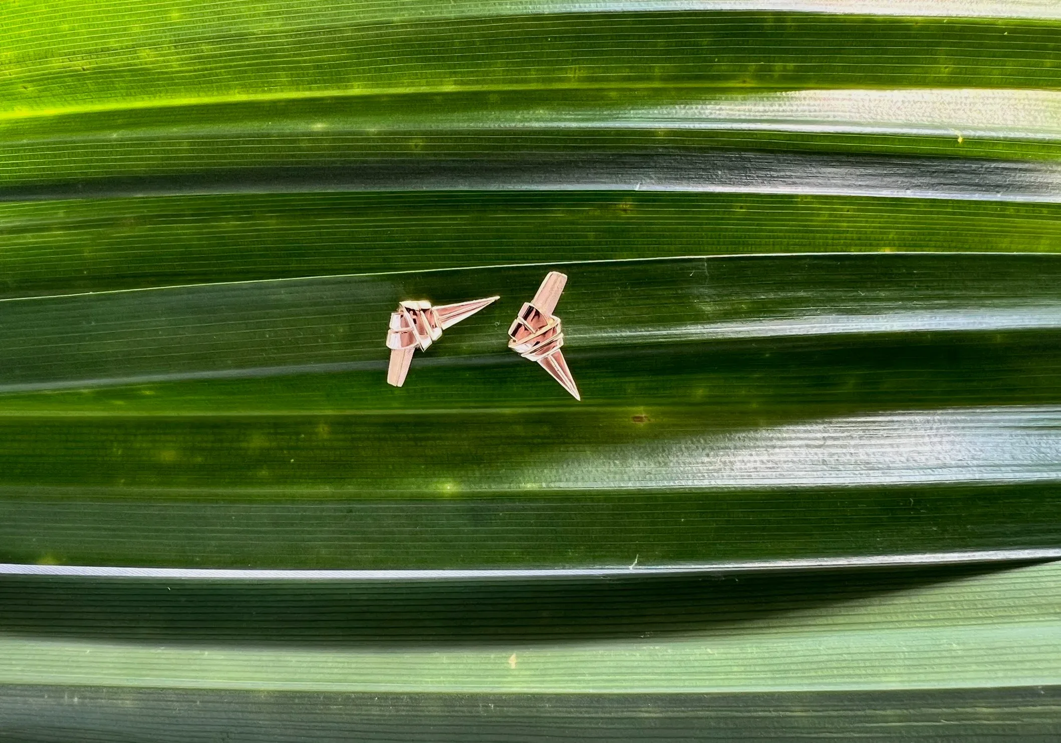 Two pink metal decorative pieces on green striped leaf surface