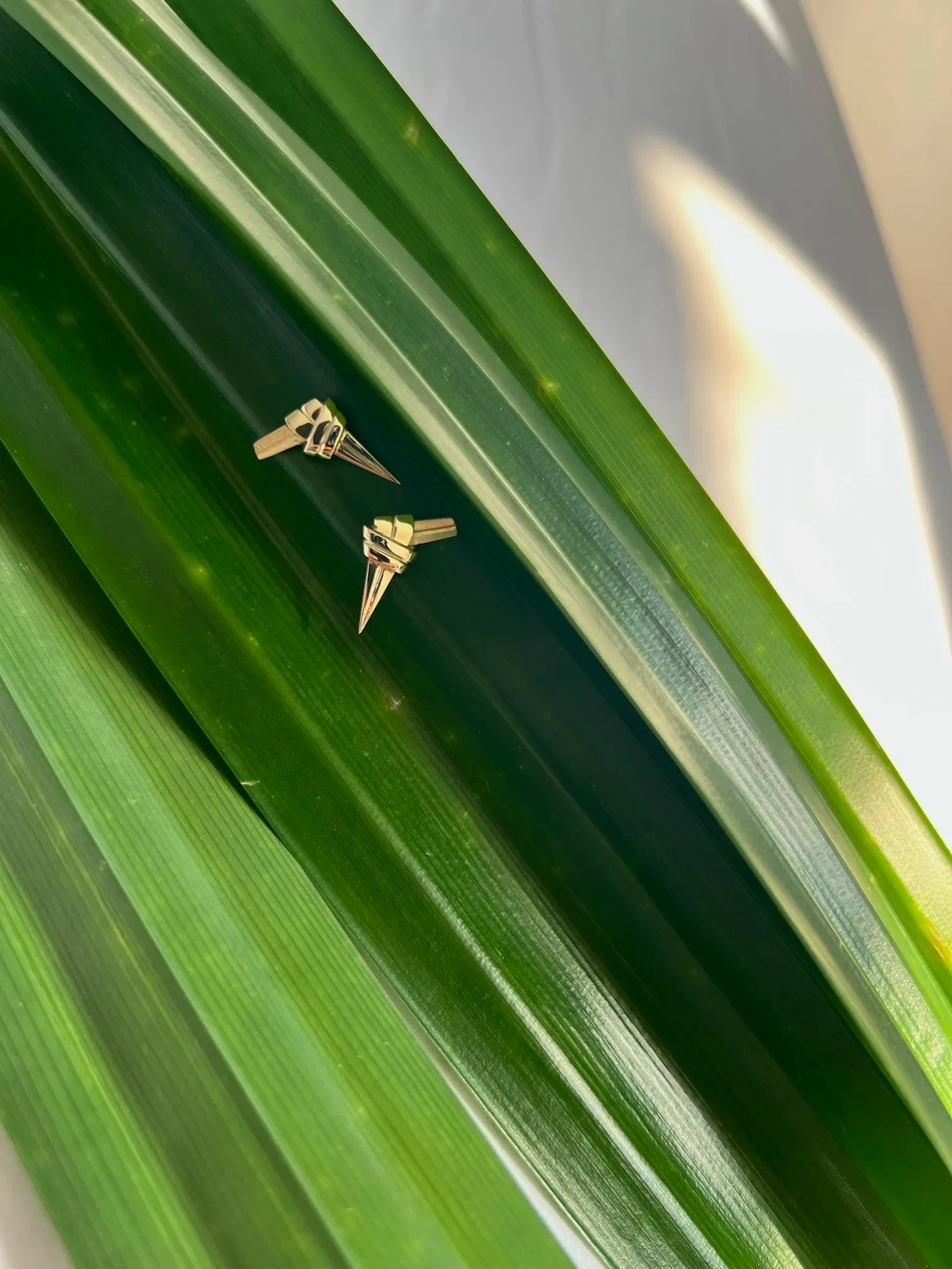 Two gold spike earrings displayed on green striped leaf surface with natural lighting