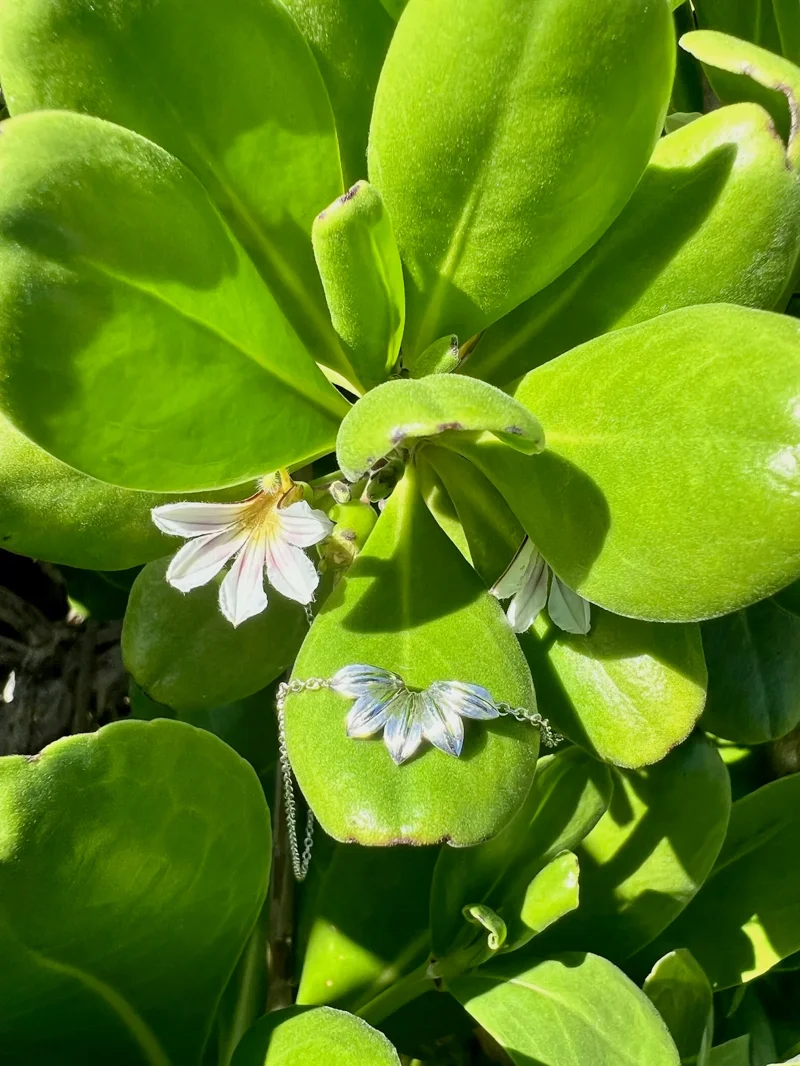 White and blue flowers with delicate petals nestled among bright green leaves in natural sunlight